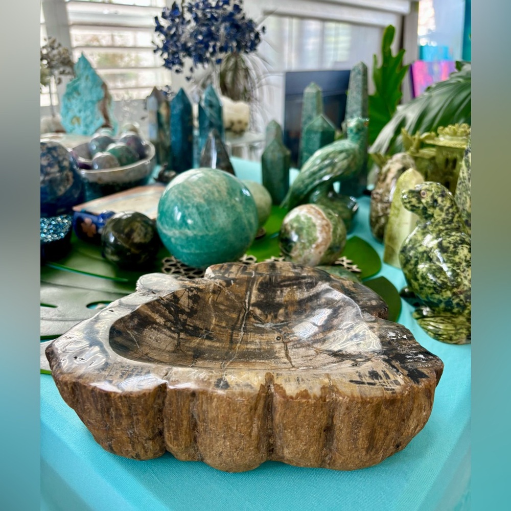 Petrified Wood bowl from Indonesia - Picture 2 of 9